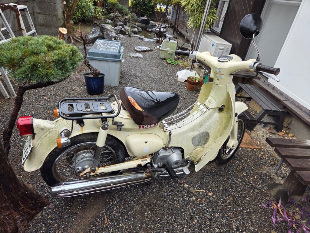 リトルカブ５０